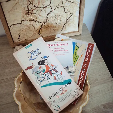 Les Logis Du Port - Port Canal - 公寓式酒店 蒙托邦